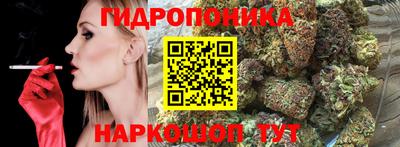 стафф Будённовск